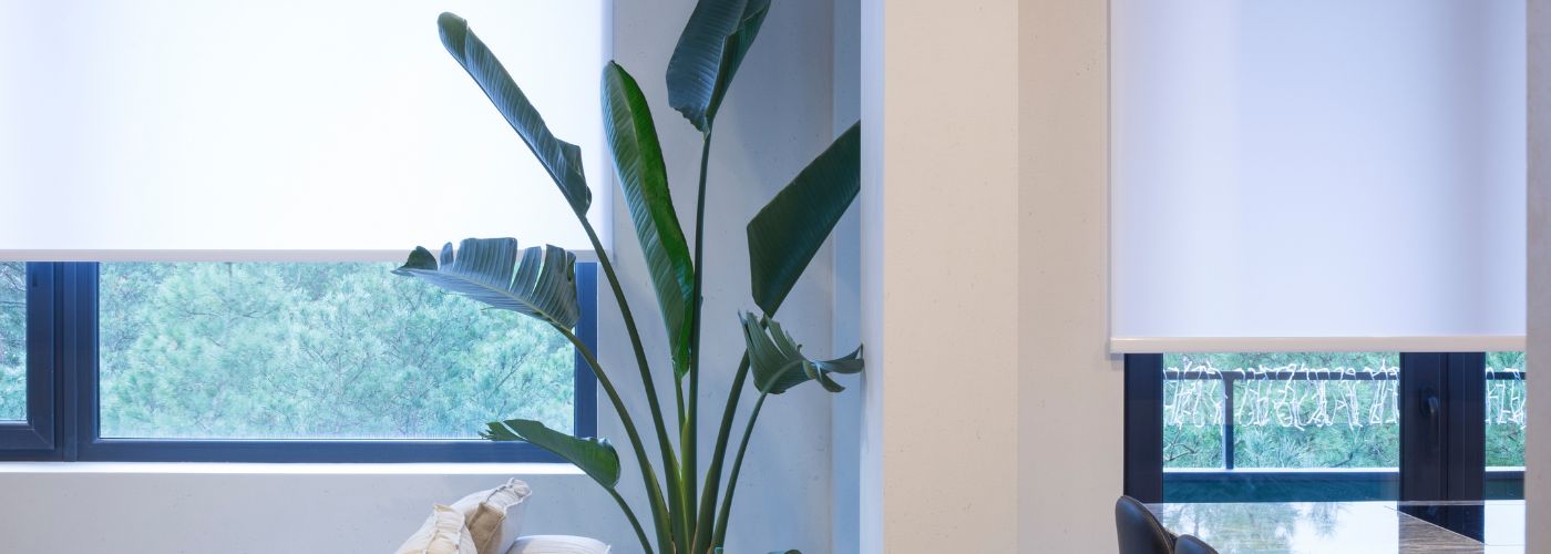 Pros And Cons Of Different Window Treatment Styles
